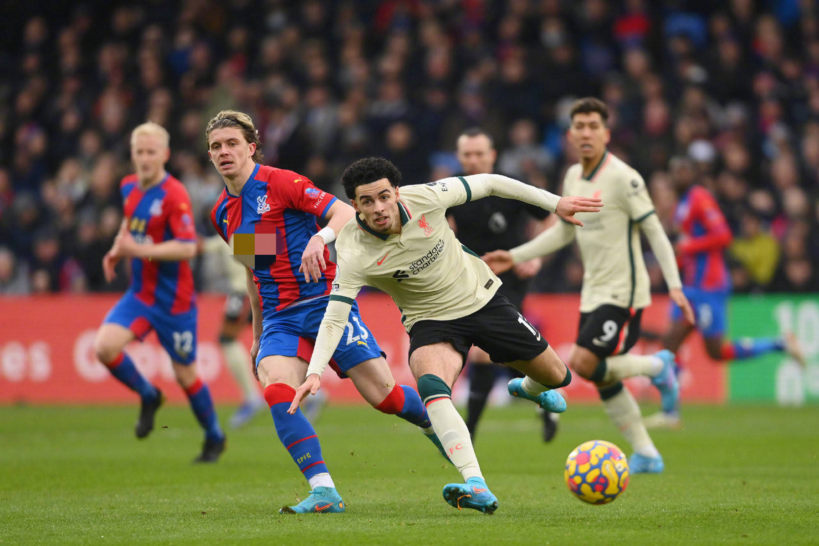 我可以为这 我可以为这